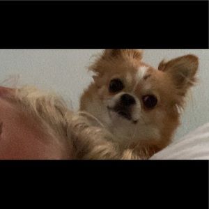 Meet your Posher, Kiarra